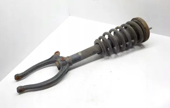 Hyundai Grandeur Front shock absorber with coil spring HENCAR7620795948
