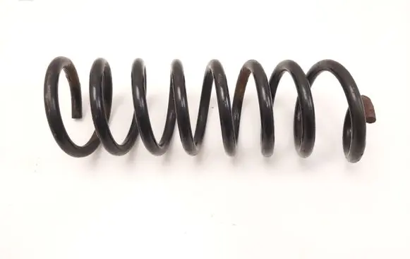 Dacia Sandero Rear coil spring