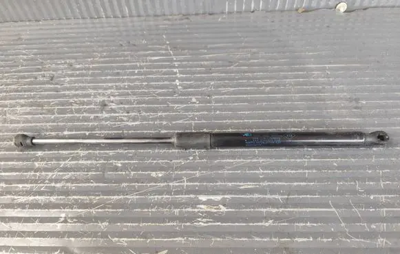 Dacia Sandero III Tailgate strut 904525475R