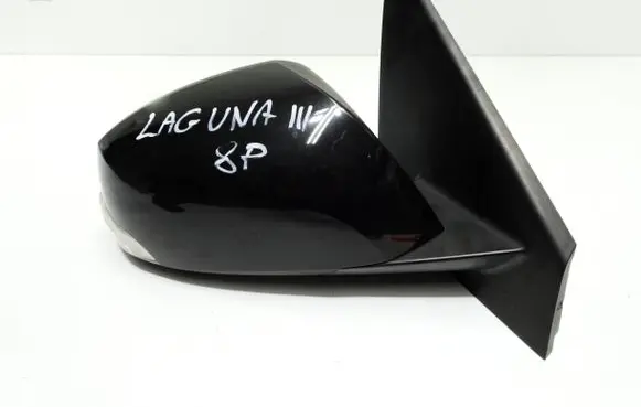 Renault Laguna III Front door electric wing mirror FHZFGJNBCVAD