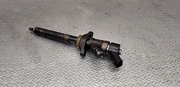Volvo V50 Fuel injector 0445110259