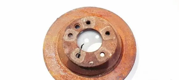 Porsche Cayenne (9PA) Rear brake disc ventiliuojamas