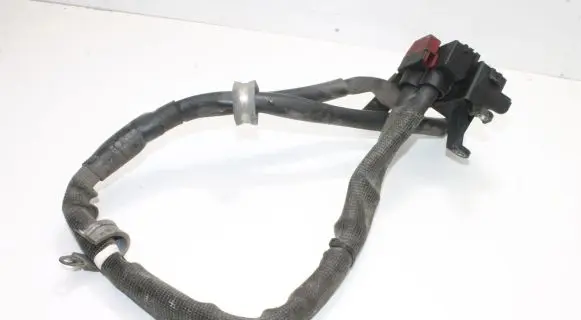 Volkswagen Phaeton Other wiring loom 3D2915441A