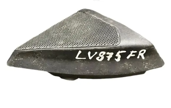Opel Insignia A Front door high frequency speaker
