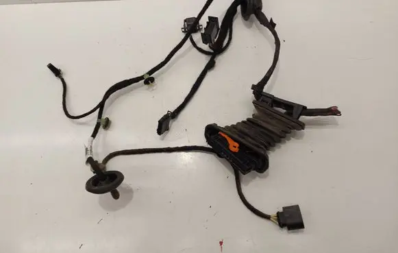 Volkswagen PASSAT B6 Rear door wiring loom 3C4971694JM TAB01629889
