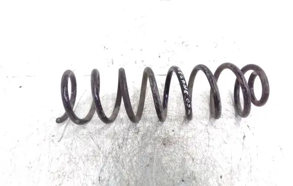 Renault Megane II Rear coil spring