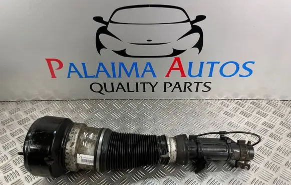 Mercedes-Benz S W221 Air suspension front shock absorber C086105