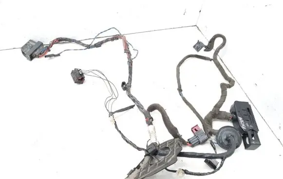 Front door wiring loom