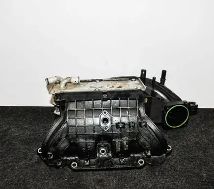 Volkswagen Golf VI Intake manifold