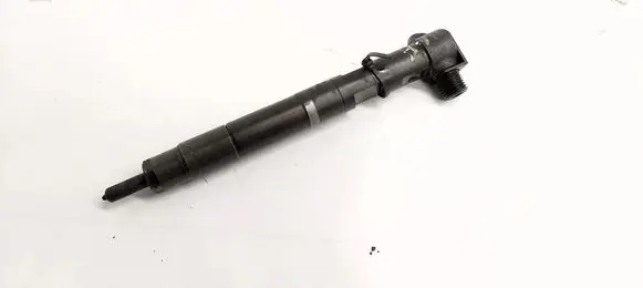 Mercedes-Benz E C207 W207 Fuel injector A6510702887