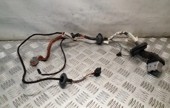 Rear door wiring loom