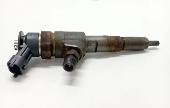 Peugeot 206 Fuel injector 0445110252 565889