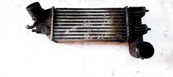 Peugeot 406 Intercooler radiator