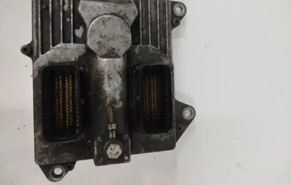 Opel Signum Engine control unit/module 55558138 5WK91105
