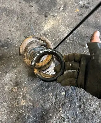Rear coil spring