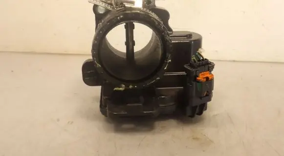 Throttle body valve