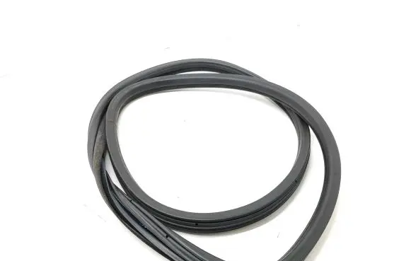 Rear door rubber seal (on body)
