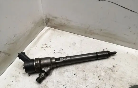 Hyundai Santa Fe Fuel injector 0445110064