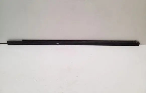 Ford Ranger Front door glass trim molding 