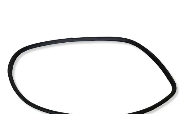 Renault Arkana Rear door rubber seal (on body) 769240825R