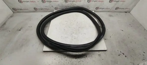 Renault Talisman Front door rubber seal 