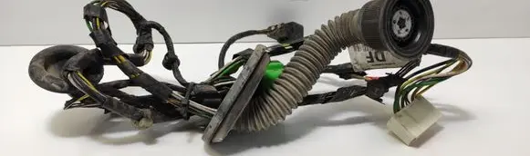 Front door wiring loom