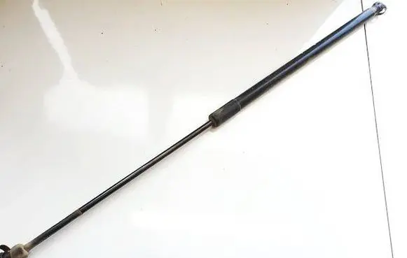 Ford C-MAX II Tailgate/trunk strut/damper AM51R406A10AD