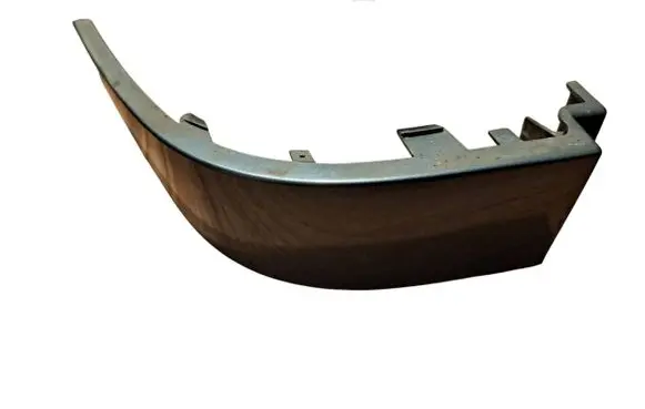 Rear/tail light trim molding