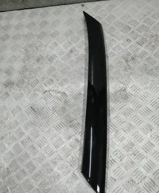 Citroen DS3 Windshield trim 9820791680 2050098X