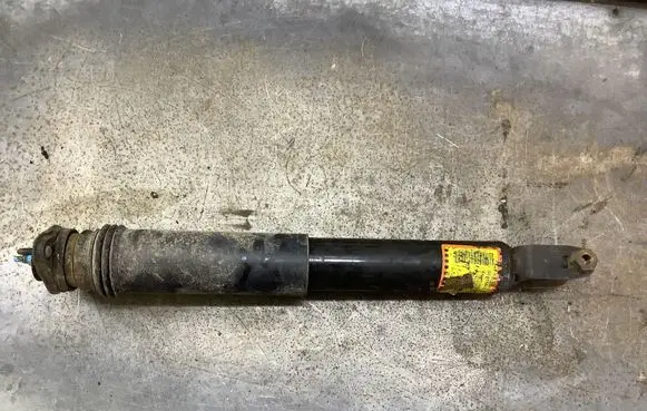 Cadillac SRX Rear shock absorber/damper 21992495