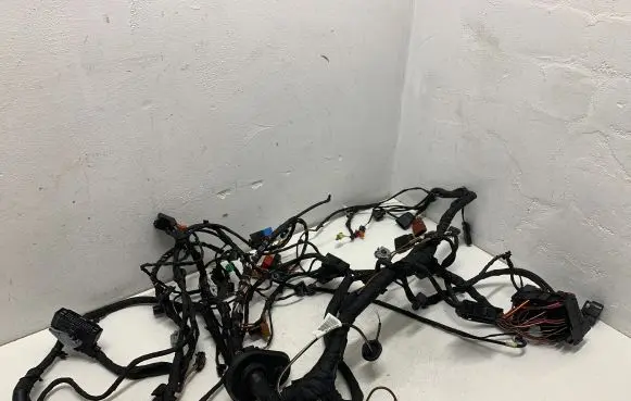 Volkswagen ID.4 Engine installation wiring loom 1EA971915