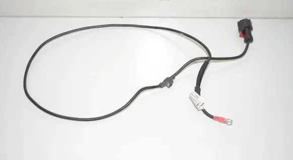 Other wiring loom