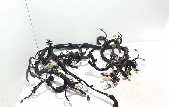 Renault Koleos II Panel wiring 240184624V