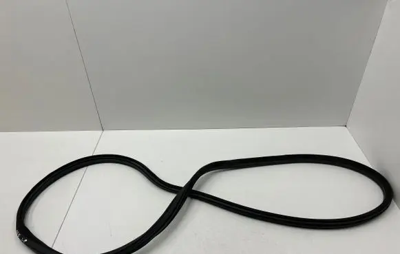 Citroen DS5 Rubber seal front door (on door) 