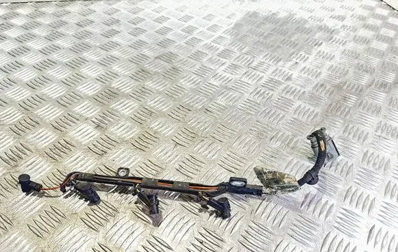 Citroen C4 Grand Picasso Glow plug wires 9670855680