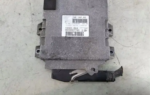 Peugeot 206 Engine control unit/module 