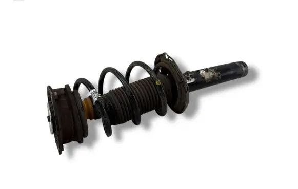 Volkswagen Tiguan Front shock absorber/damper 5QF412022