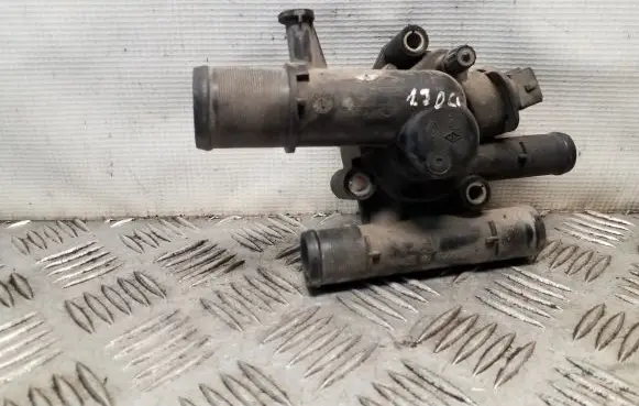Thermostat/thermostat housing