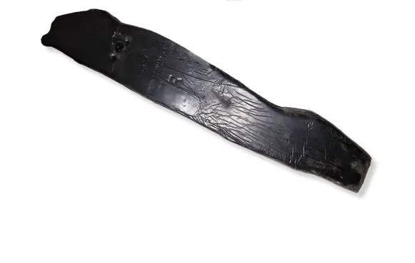 Ford Mustang VI Fender foam support/seal 