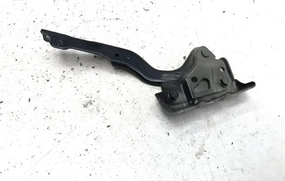 Chery 9/C9 Engine bonnet/hood hinges 553000254AA