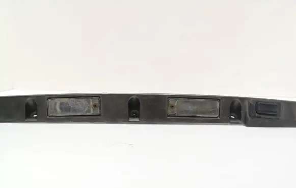 Trunk door license plate light bar