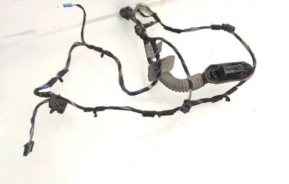 BMW X5 E70 Front door wiring loom 6970842
