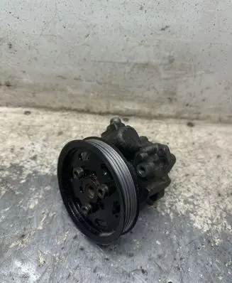 Volkswagen PASSAT B5.5 Power steering pump