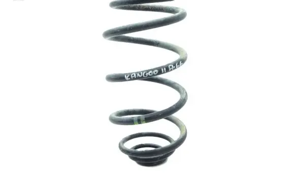 Renault Kangoo II Rear coil spring 
