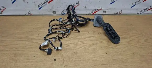 BMW X3 F25 Front door wiring loom 9243646