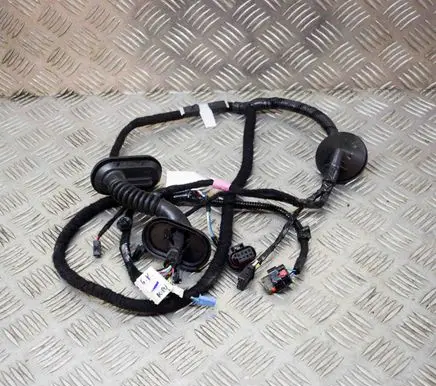 Tesla Model 3 Rear door wiring loom 206796500B