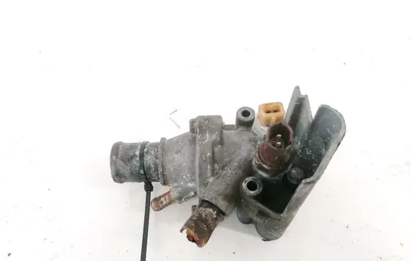 Renault Scenic I Engine coolant pipe/hose 7700866299F