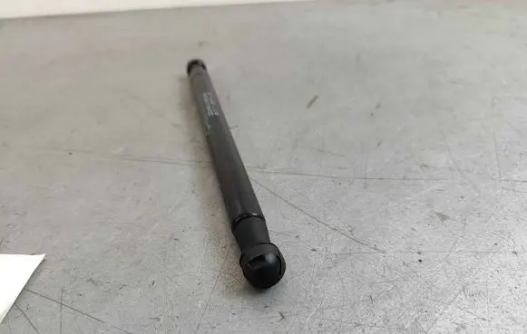 Tailgate/trunk strut/damper