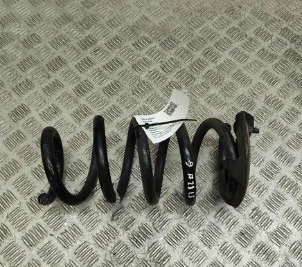 Tesla Model Y Rear coil spring 118847600B