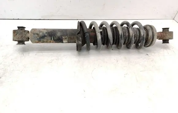 Peugeot 407 Rear shock absorber with coil spring 